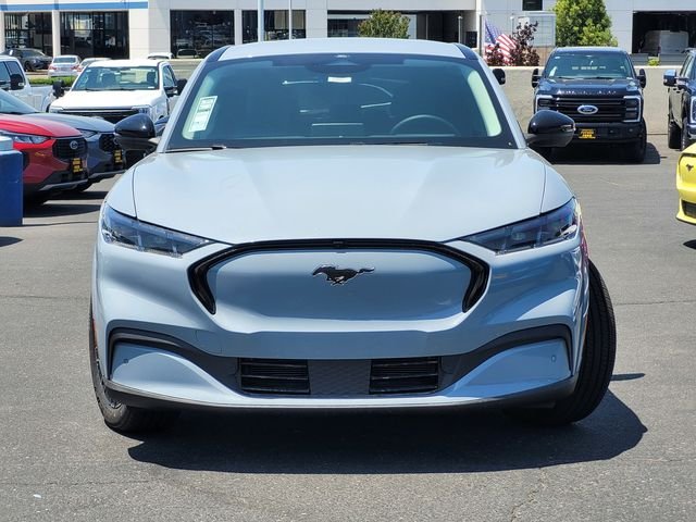 New 2026 Gray Ford Premium image 3