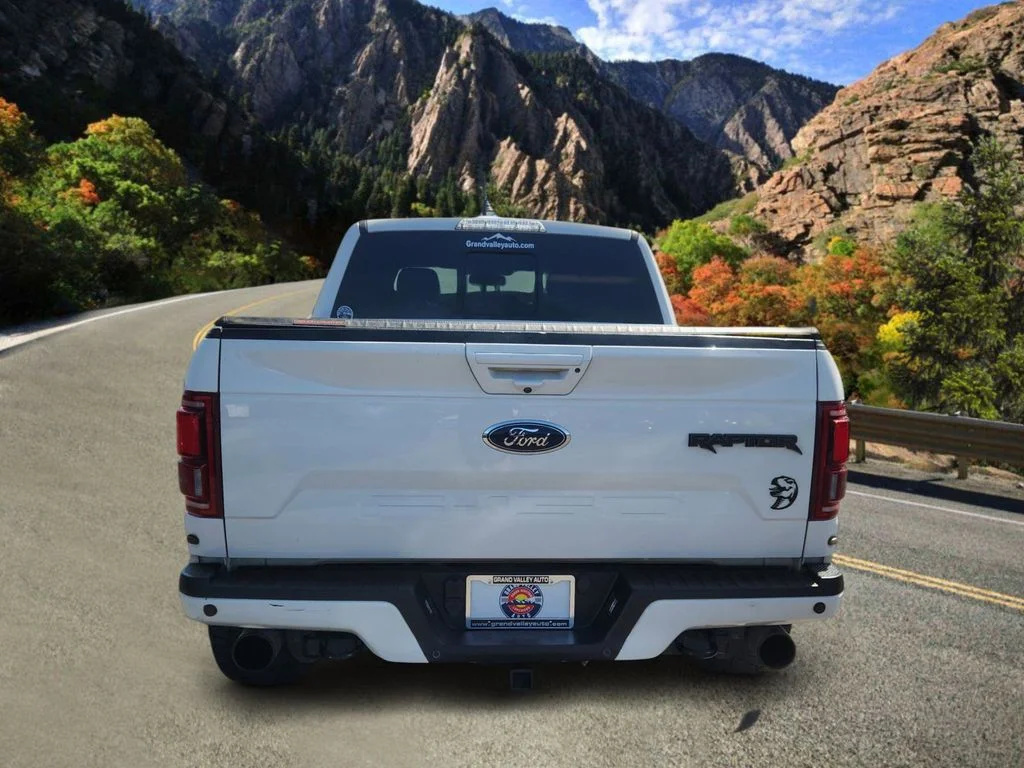 Used 2018 White Ford Raptor image 4