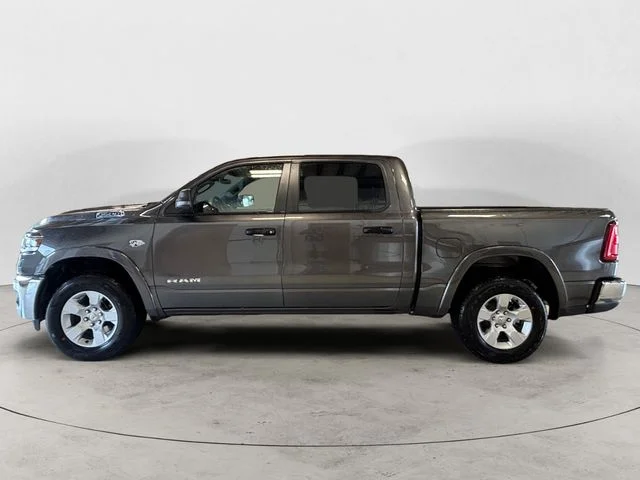 New 2026 Gray Ram Big Horn/Lone Star image 2