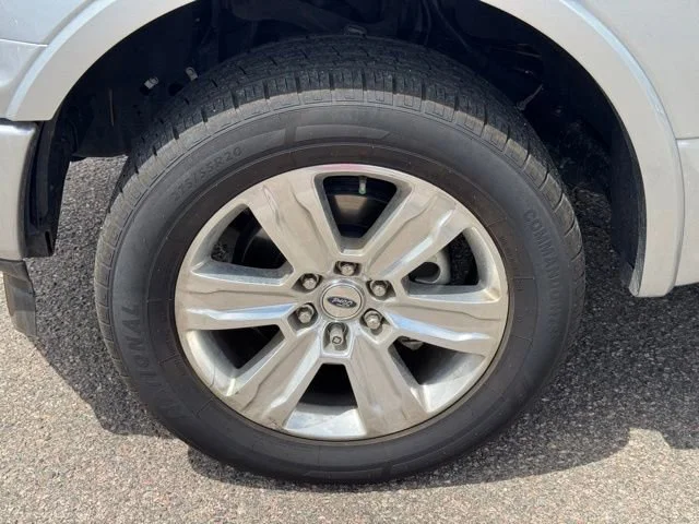 Used 2020 Silver Ford Platinum image 9