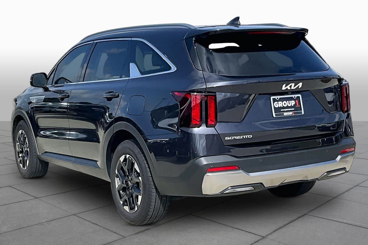 Used 2025 Panthera Metal Kia S image 11