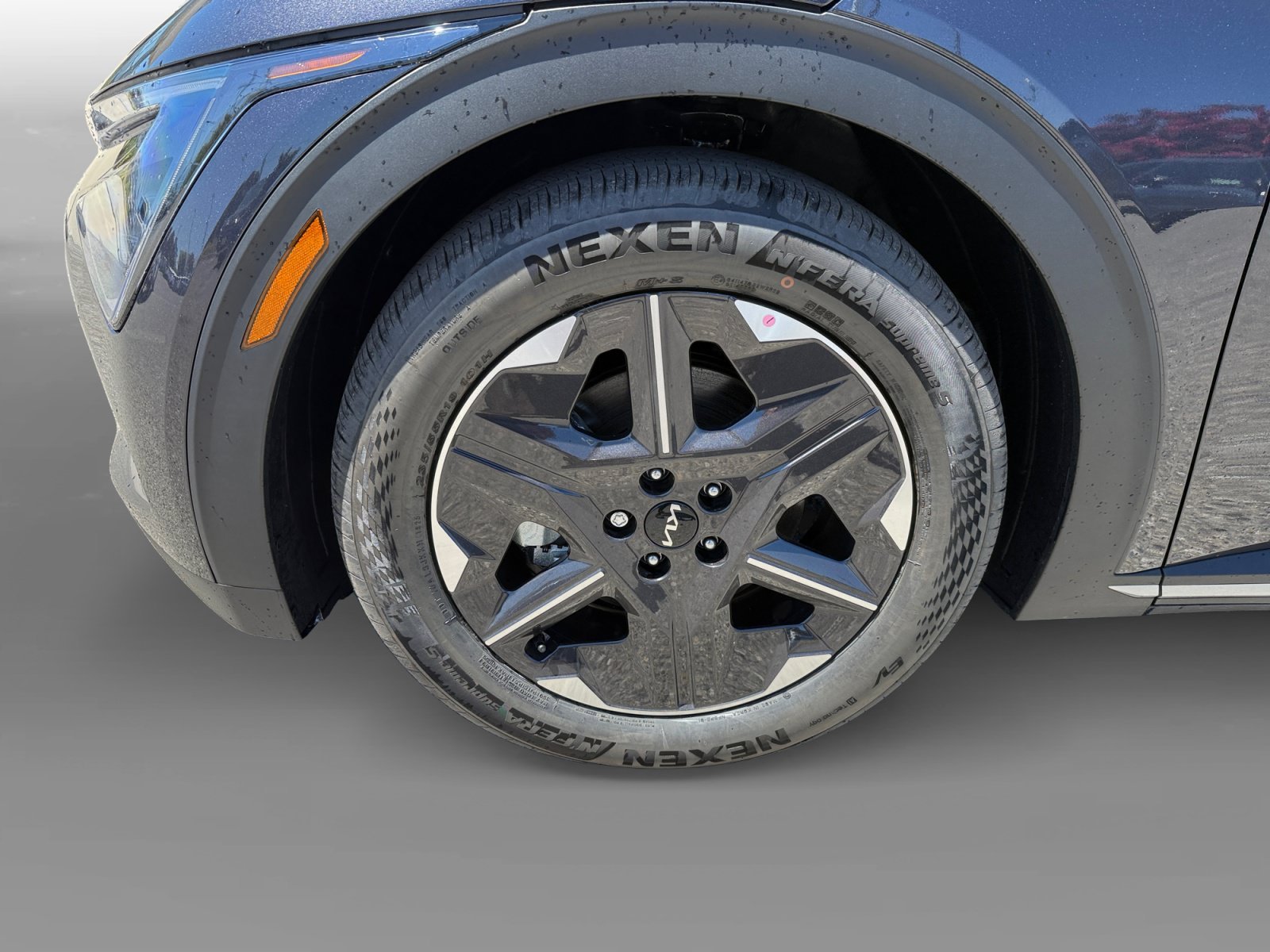 New 2026 Panthera Metal Kia LIGHT image 9