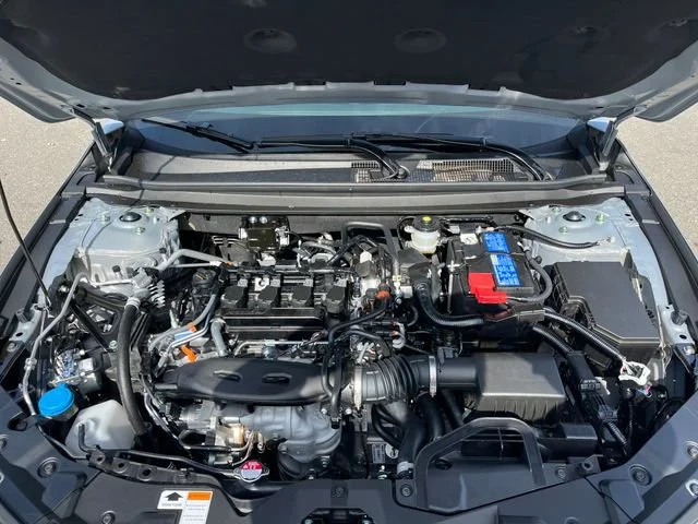 New 2026 Urban Gray Pearl Honda SE image 31