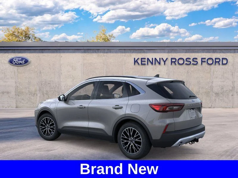 New 2024 Gray Ford Base image 4