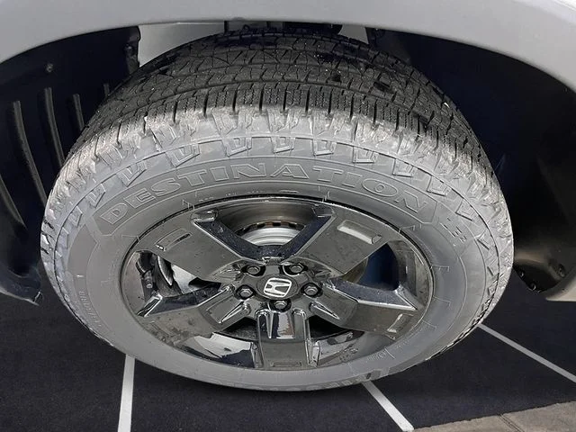 New 2026 Platinum White Pearl Honda Black Edition image 10