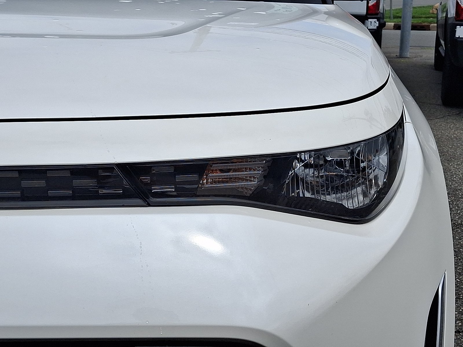 Used 2024 Snow White Pearl - SWP Kia LX image 9