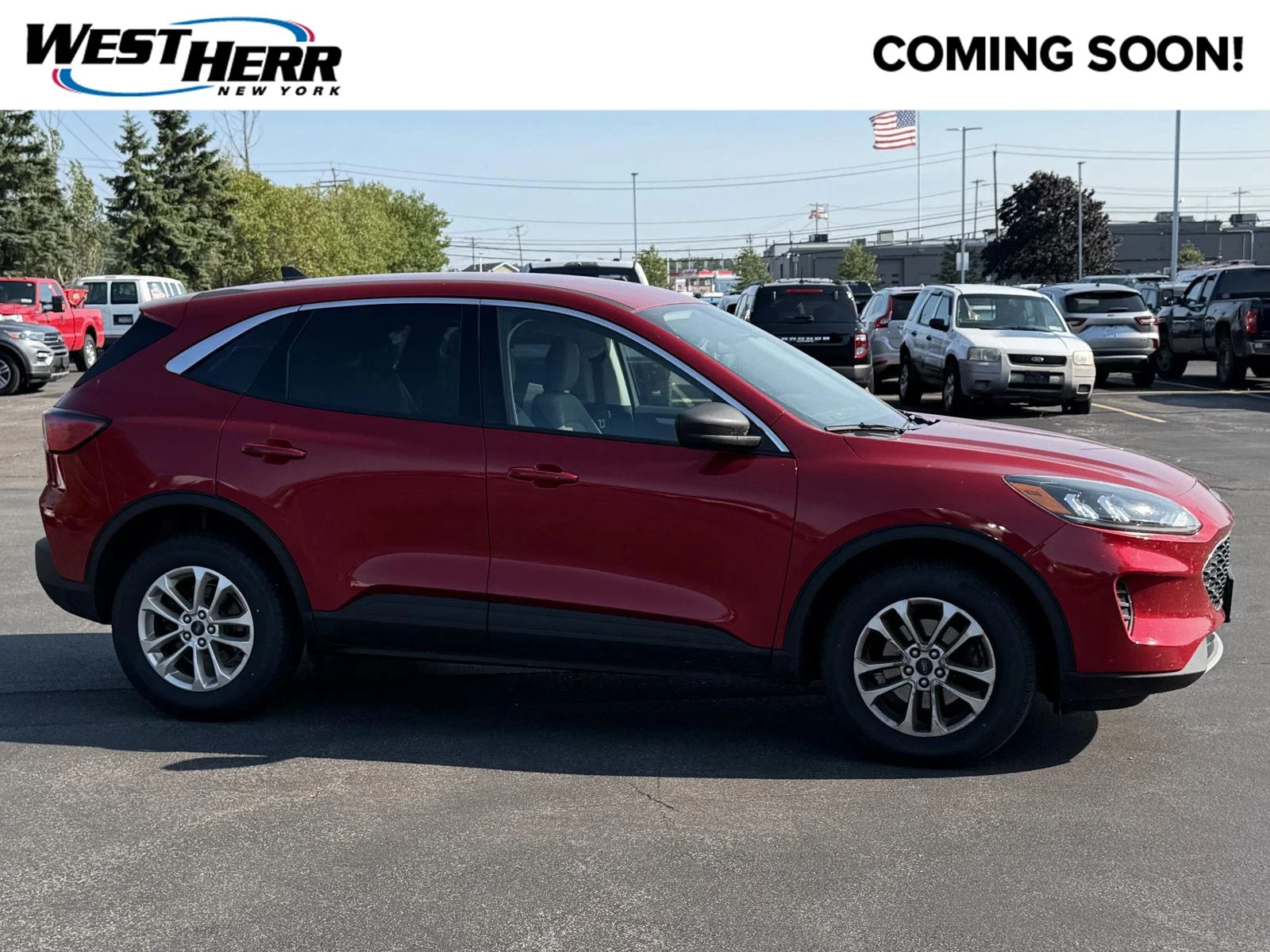 Used 2022 Rapid Red Metallic Tinted Clearcoat Ford  image 1
