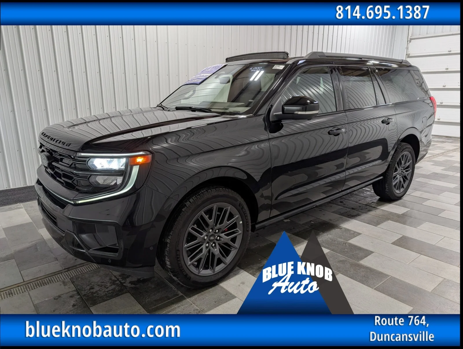 2025 Ford Expedition Platinum MAX 4x4's photo