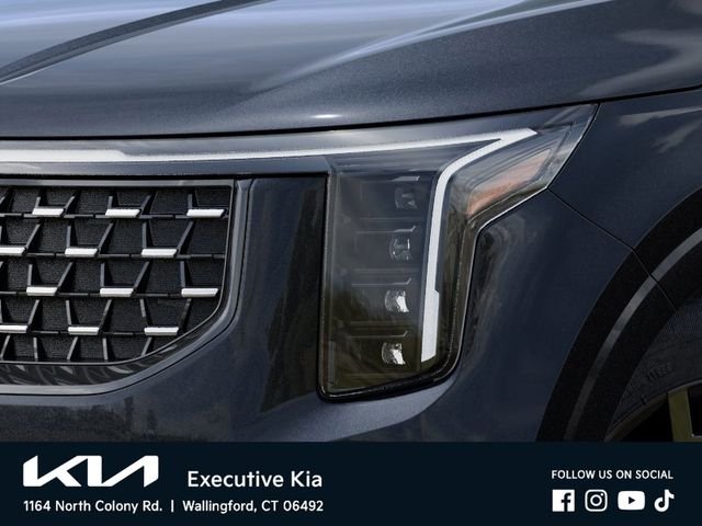 New 2026 Panthera Metal Kia SX Prestige image 10