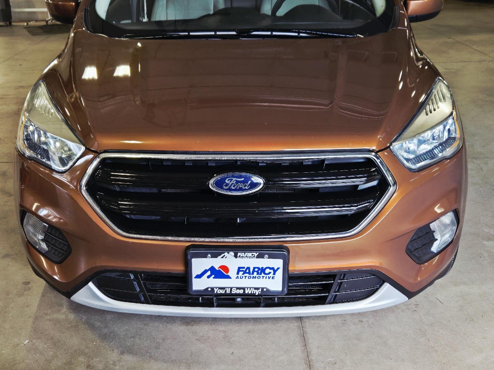 Used 2017 Canyon Ridge Ford SE image 42