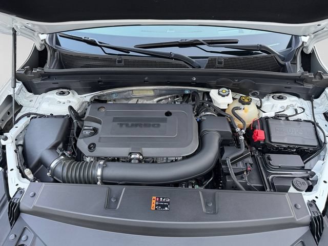 Used 2023 WHITE FROST TRICOAT Buick Avenir image 11