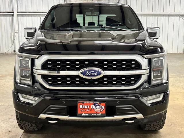 Used 2022 Black Ford Platinum image 2