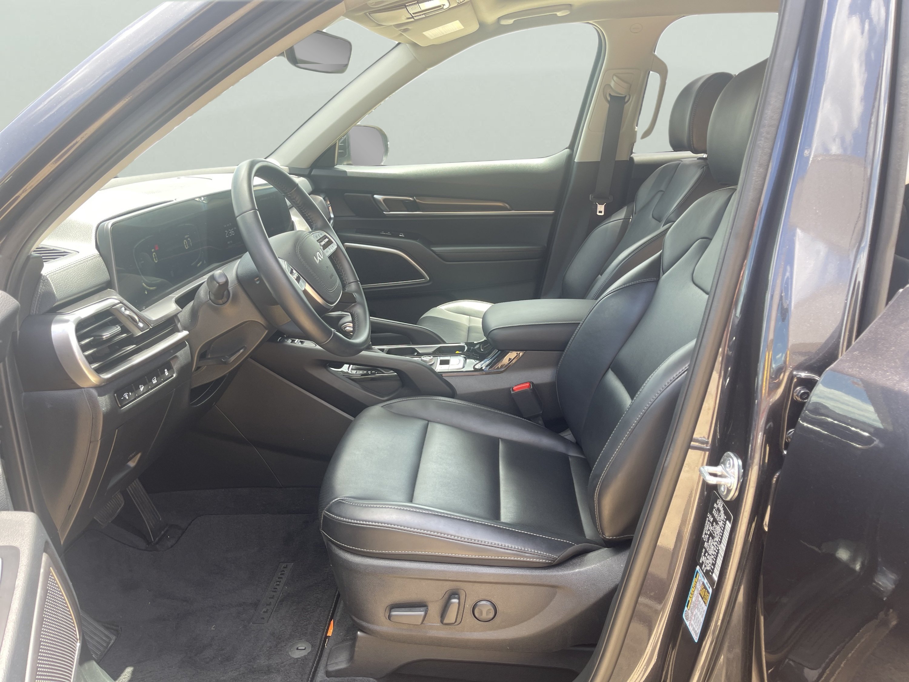 Used 2025 Panthera Metal Kia S image 11