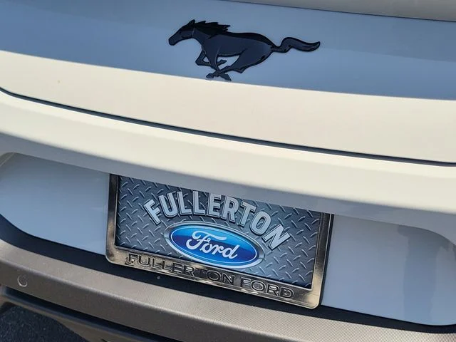 New 2026 Avalanche Ford EcoBoost Premium image 7