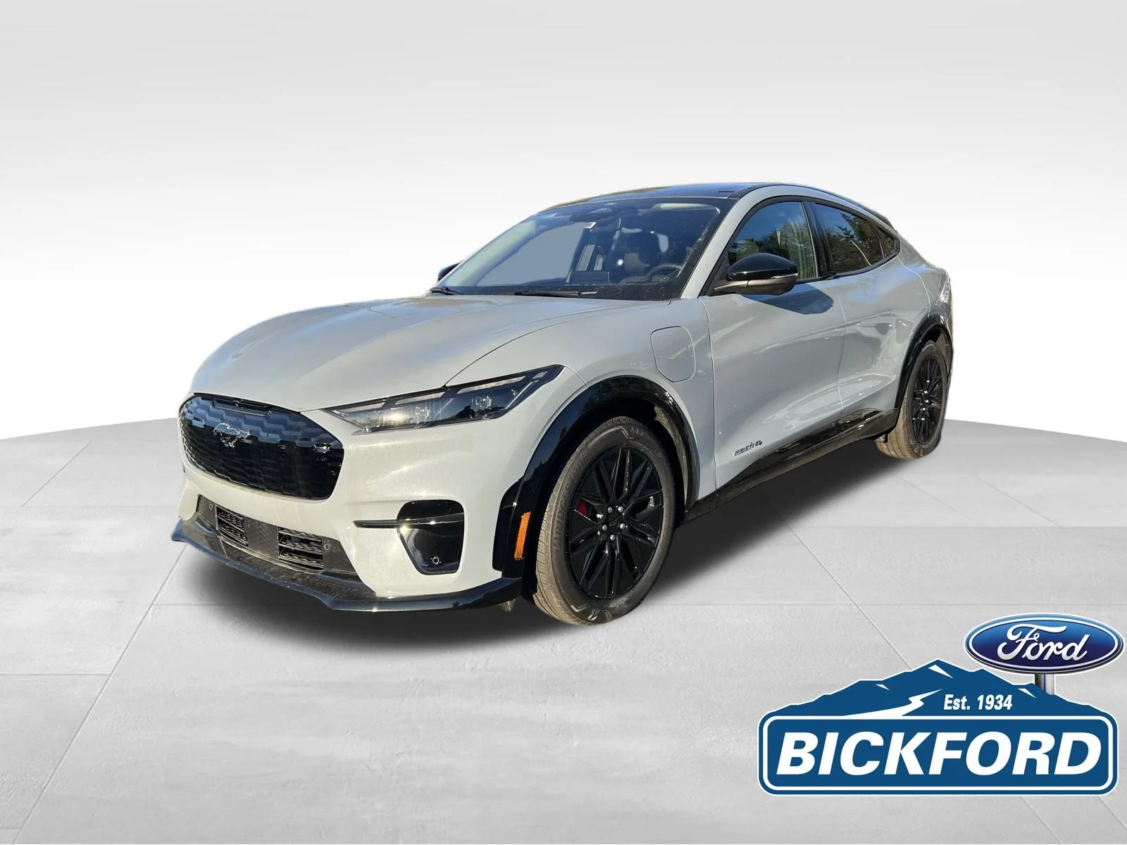 2025 Ford Mustang-Mach-e Premium's photo