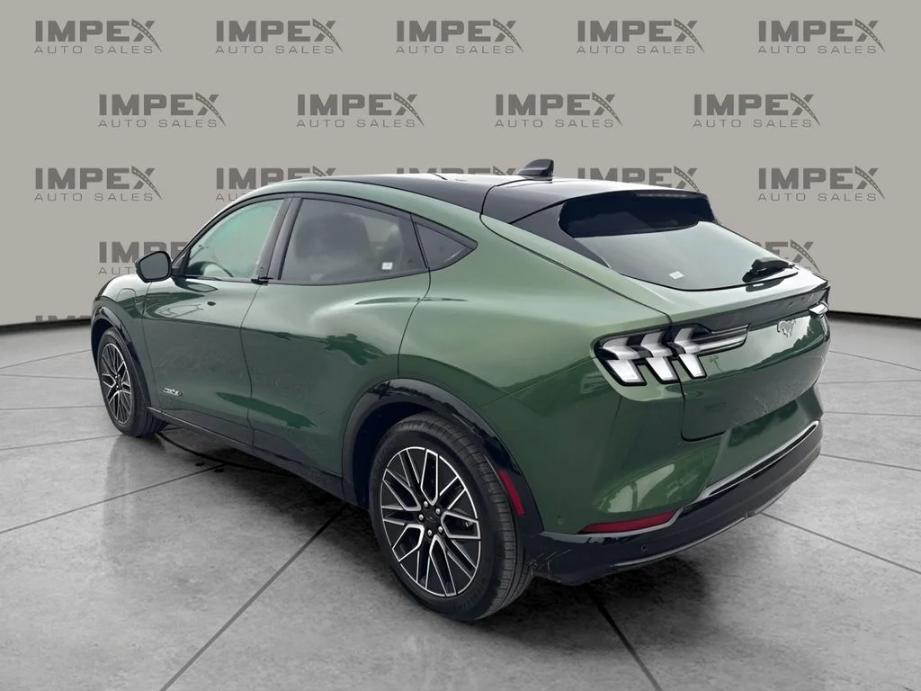 Used 2024 Green Ford Premium image 2