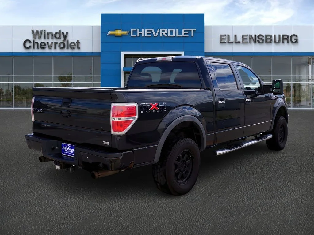 2010 Ford F-150 Platinum - Photo 7