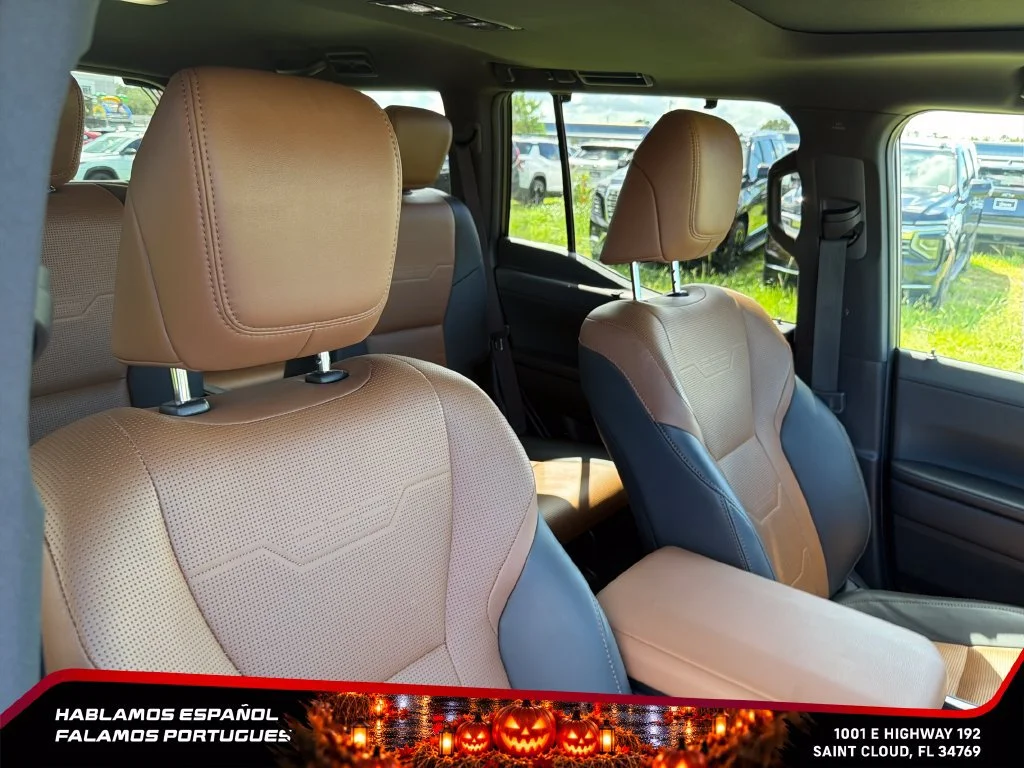 Used 2025 Gray Lexus Luxury image 29