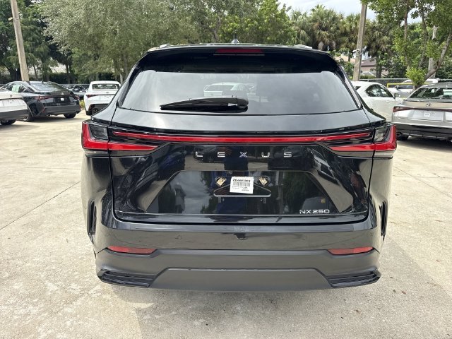 2024 Lexus NX 250 - Photo 24