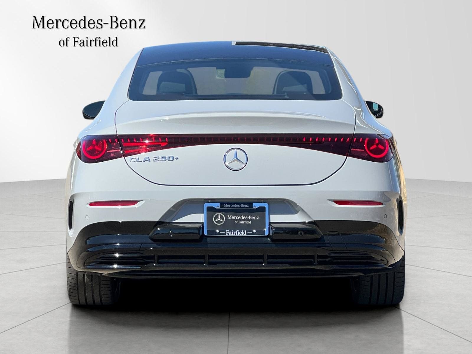 New 2027 MANUFAKTUR Alpine Grey Mercedes-Benz 250+ image 7