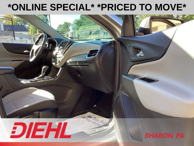 Used 2019 Silver Chevrolet LS image 12