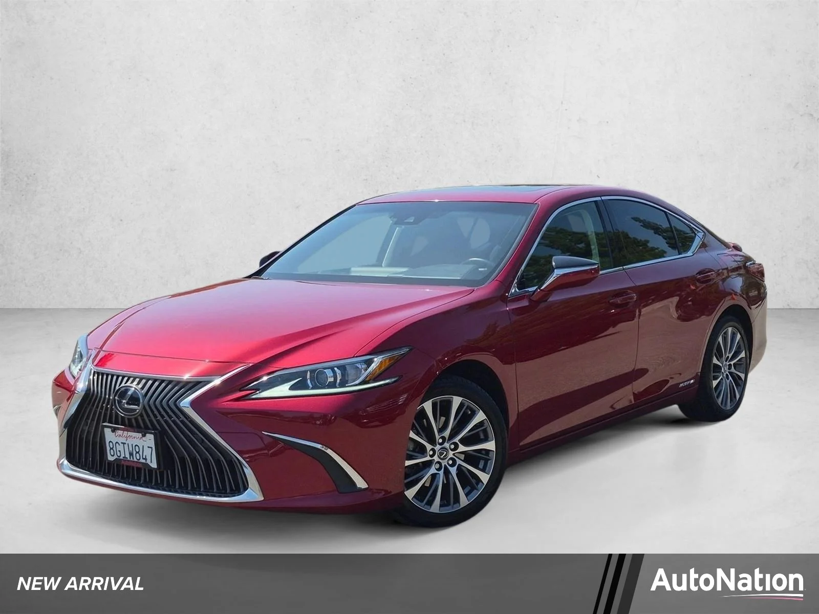 2019 Lexus ES 300h 300h Luxury's photo