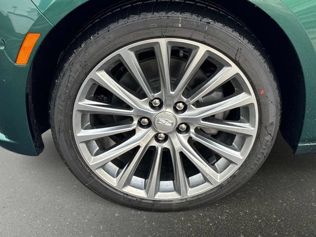New 2026 Typhoon Metallic Cadillac Premium Luxury image 9