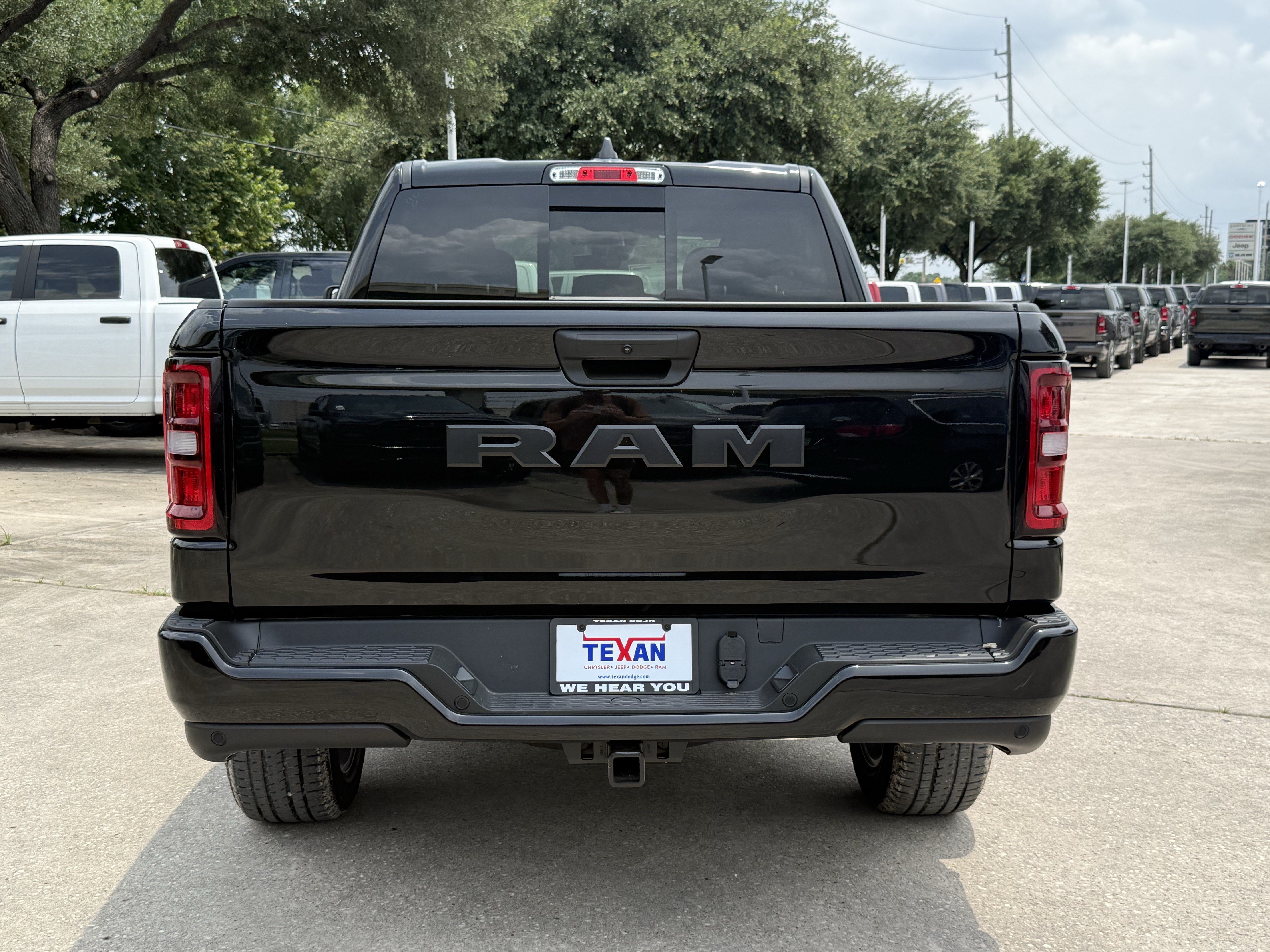 New 2026 Diamond Black Crystal Pearl-Coat Exterior Paint RAM Express image 5