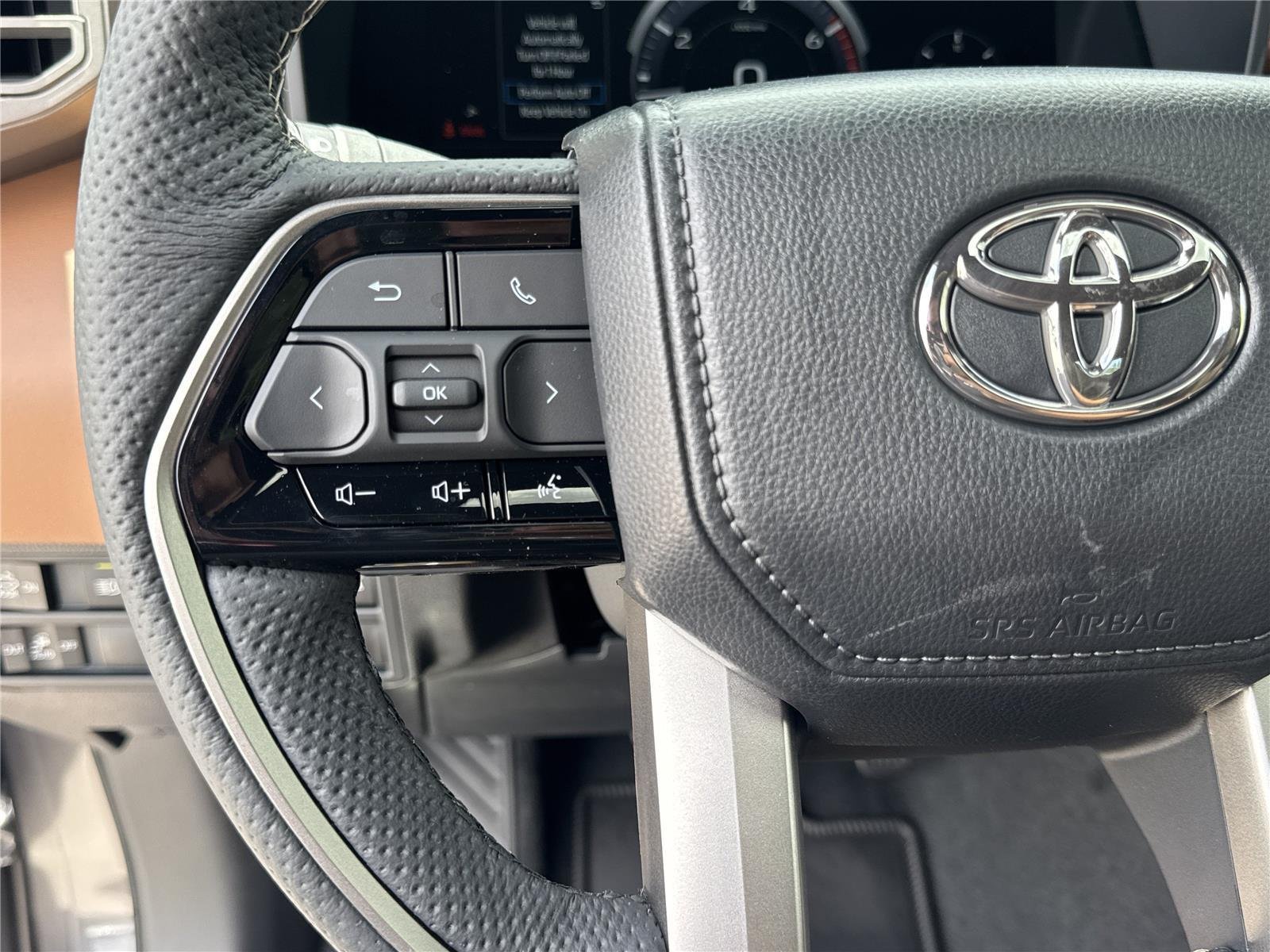 New 2026 Magnetic Gray Metallic Toyota  1794 Edition image 10