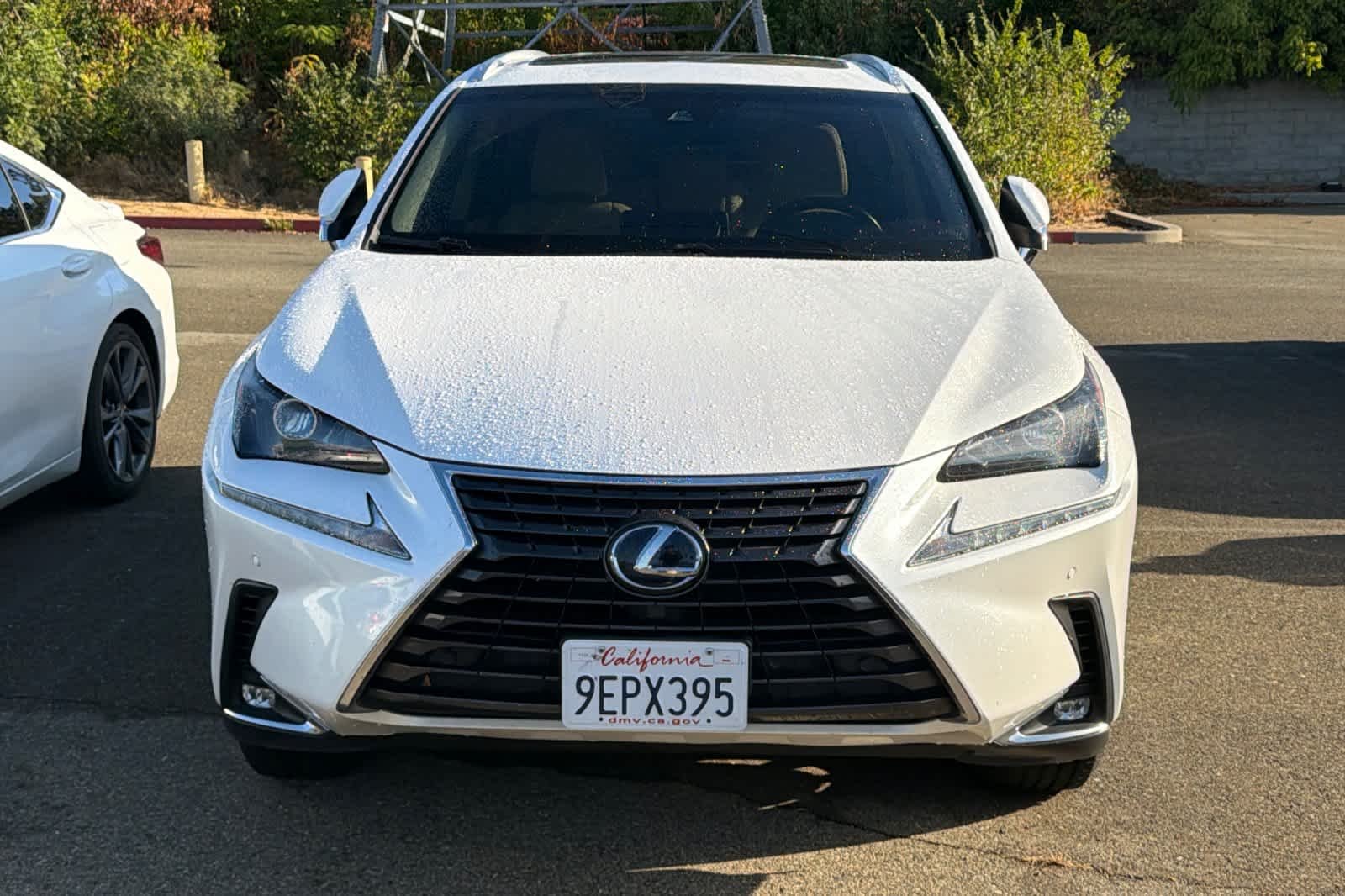 Used 2019 Eminent White Pearl Lexus  image 6