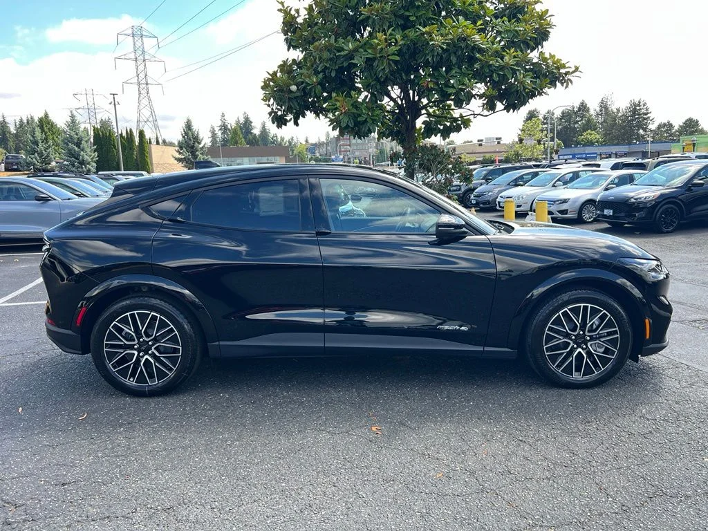 New 2026 Shadow Black Ford Premium image 7