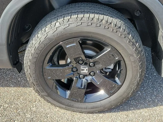 Used 2025  Honda Black Edition image 6