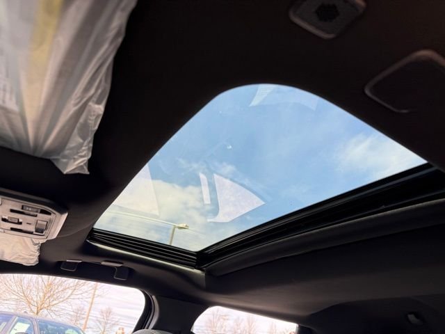 2025 Toyota Tacoma Limited - Photo 12