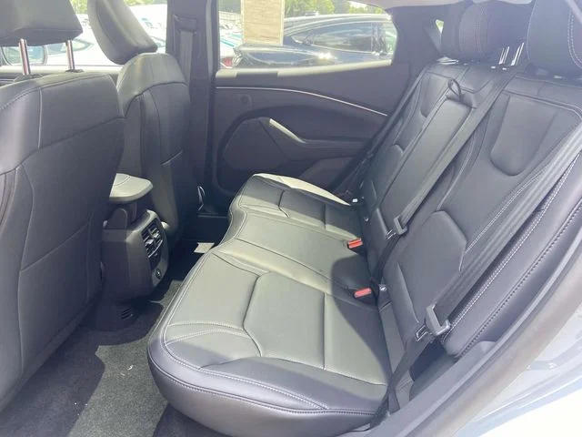 New 2026 Gray Ford Premium image 8