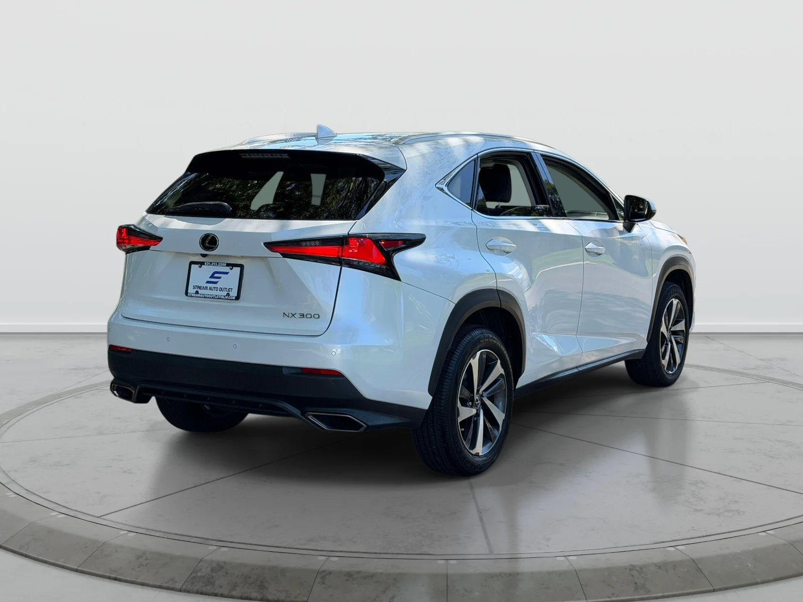 Used 2019 White Lexus 300 Base image 6
