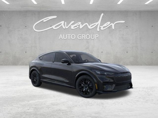 New 2026 Shadow Black Ford Premium image 8