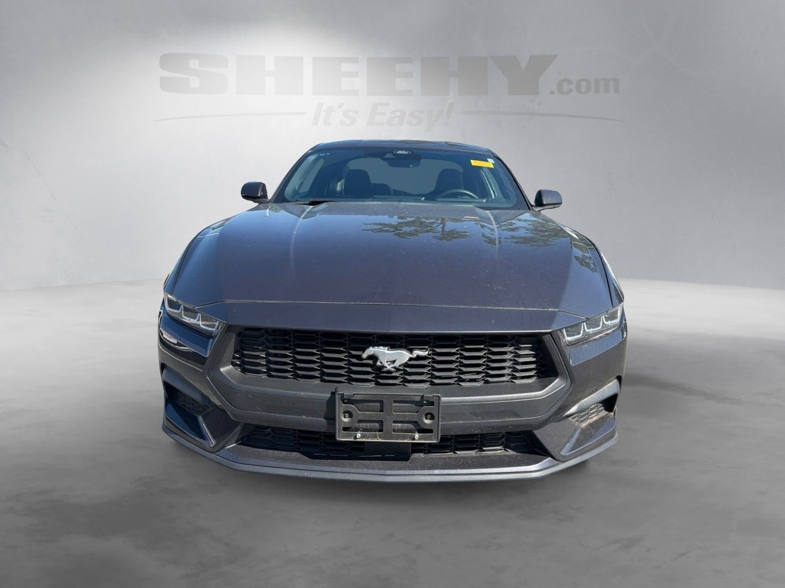 Used 2024 Gray Ford EcoBoost image 13