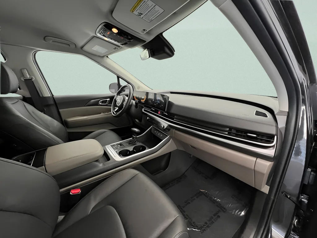 Used 2026 Panthera Metal Kia LXS image 33