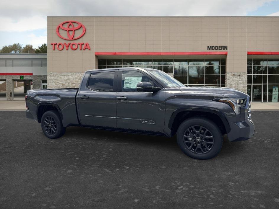 New 2026 Magnetic Gray Meta Toyota Platinum image 2