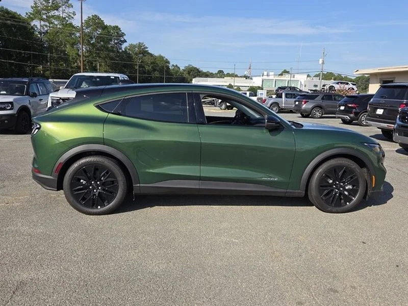 New 2026 Eruption Green Metallic Ford Select image 13