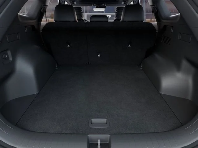 New 2024 Fusion Black Kia X-Line image 19