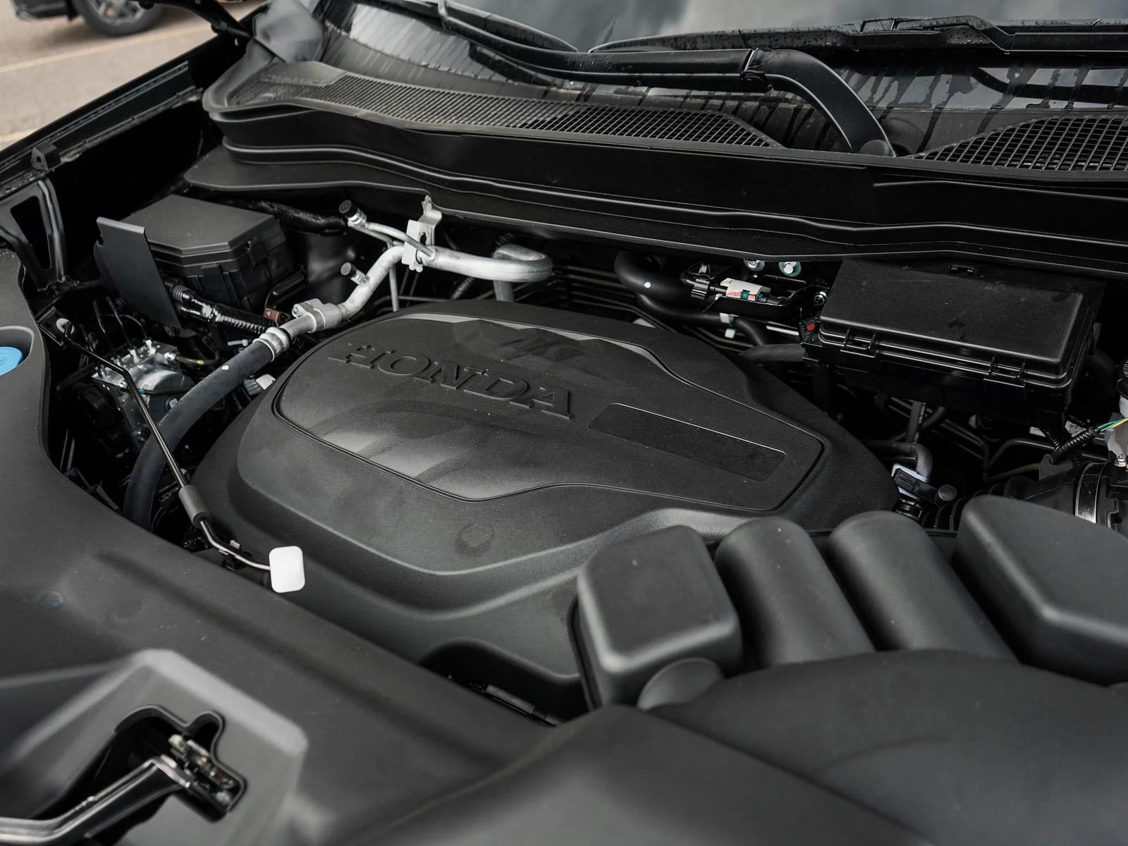 New 2026 Crystal Black Pearl Honda Black Edition image 7