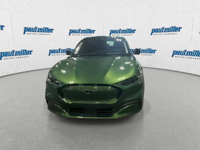 New 2026 Green Ford Premium image 3