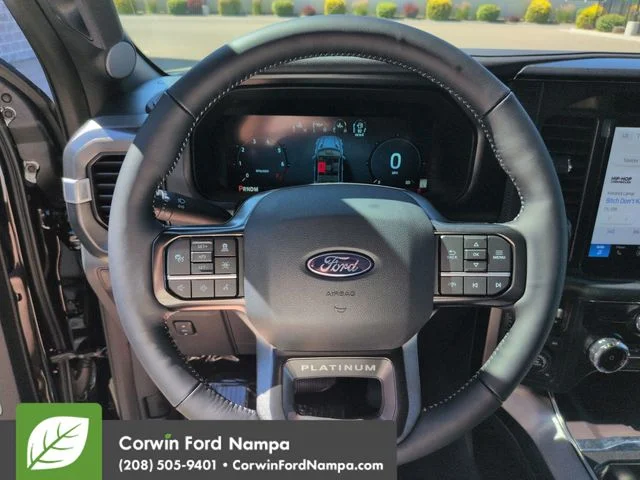 New 2026 Black Metallic Ford Platinum image 14