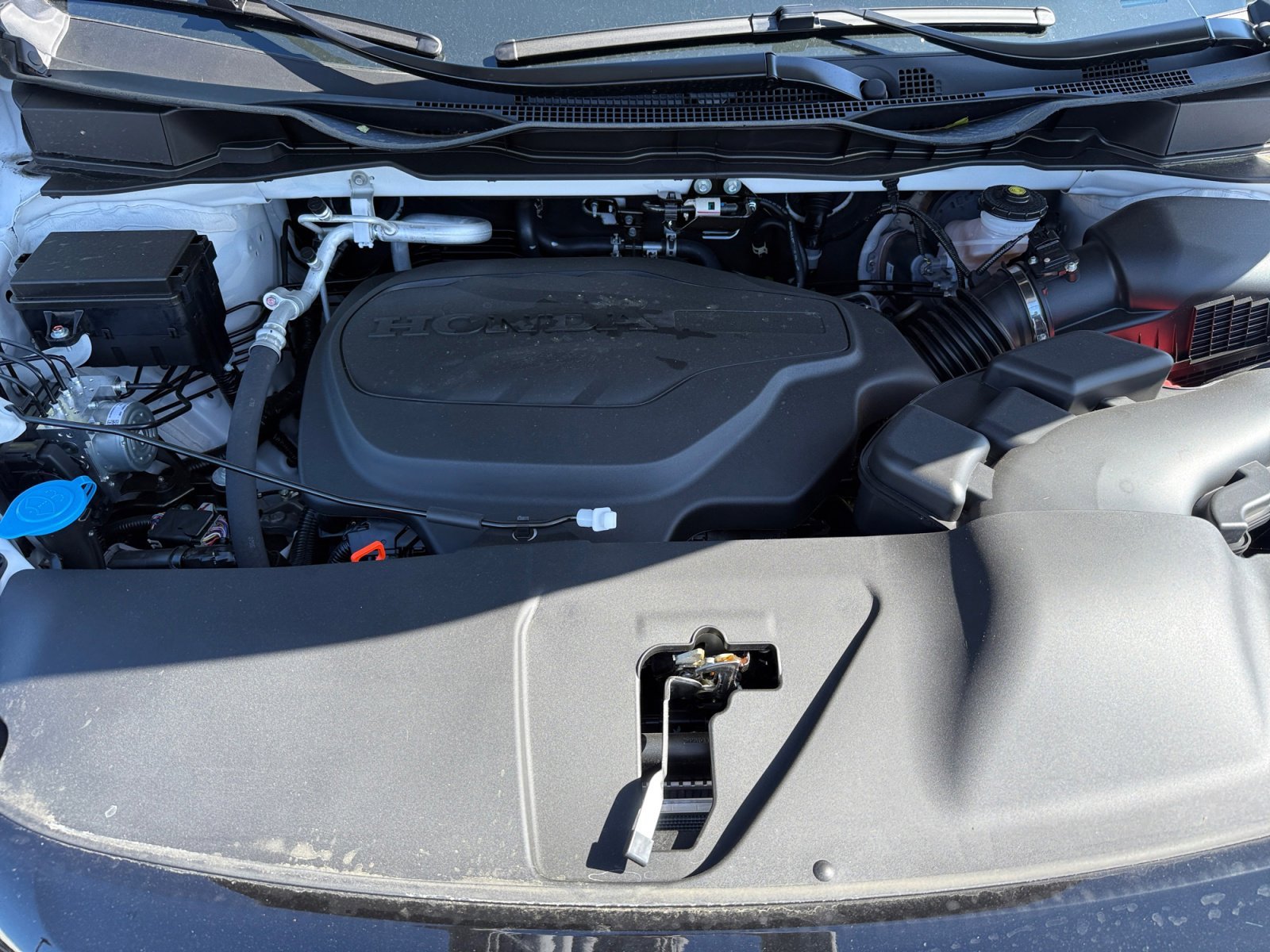 New 2026 Platinum White Pearl Honda Sport-L image 20