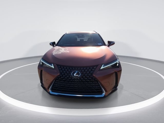 New 2026 Brown Lexus PREMIUM image 3
