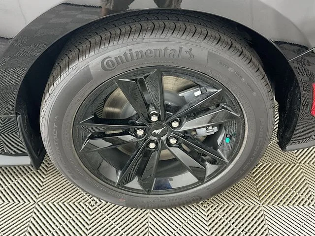 New 2026 Black Ford GT image 19
