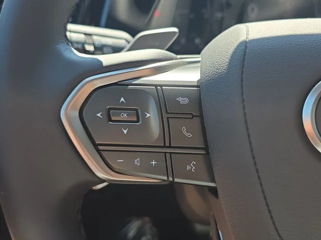 New 2026 Caviar Lexus PREMIUM image 17