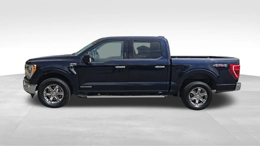 Used 2023 Blue Metallic Ford XLT image 5