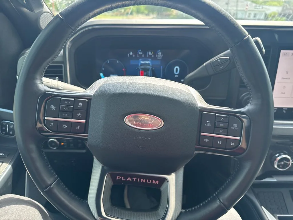 Used 2025 Gray Ford Platinum image 17
